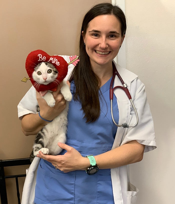 A smiling veterinarian in scrubs and a white coat holds a cat wearing a red heart-shaped hat that says "Be Mine." The vet has a stethoscope around her neck.